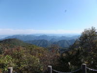 䂩̌iF