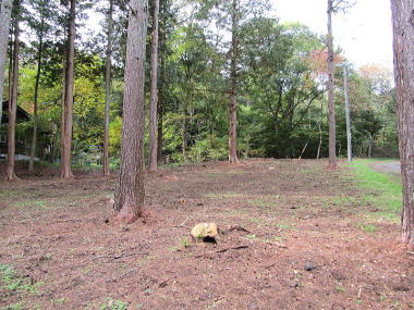 �΂Ɉ͂܂ꂽ�~�n