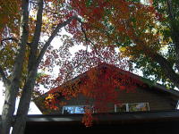 秋の紅葉と別荘