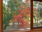秋の紅葉-窓からのもみじが綺麗です-