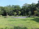 緑に囲まれる桜ヶ丘ヴィレッジ
